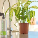 Limpieza-Ecológica-Una-Contribución-Vital-al-Medio-Ambiente neletab •